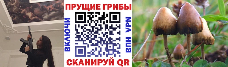 гидра   Асбест  Псилоцибиновые грибы прущие грибы 