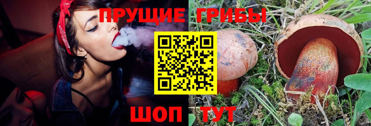 Псилоцибиновые грибы мицелий  Вход с VPN  Асбест  Галлюциногенные грибы ЛСД 