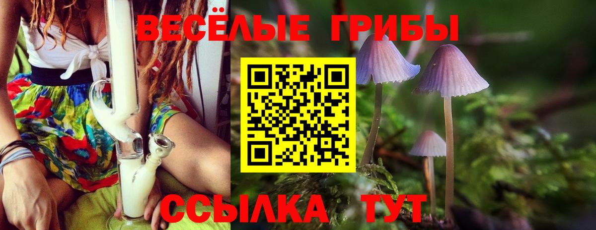 Галлюциногенные грибы мухоморы Асбест